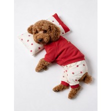 Kemique Tatlı Çilek Köpek Rüyası | Pamuklu Çilekli Köpek Tulumu, Kırmızı Sweatshirt ve Mini Yastık | 3 Parça