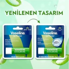 Mabelme Store Lip Therapy Dudak Bakım Kremi Aloe 4.8 gr