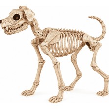 Orca Süs Ayakta Köpek Iskelet Anımal Skull 40 cm