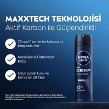 Mabelme Store Men Erkek Sprey Deodorant Deep Darkwood 150ML, 72 Saat Anti-Perspirant Ter ve Ter Kokusuna Karşı Koruma, Maskülen Koku,aktif Karbon