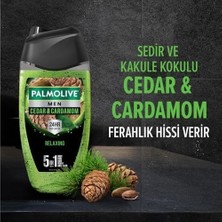 Mabelme Store Men Duş Jeli 250 ml Cedarwood