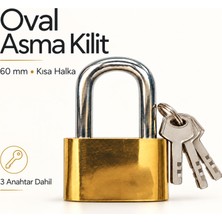 Badem10 Oval Sarı Asma Kilit 60 mm Kısa Halkalı Kapı Dolap Sandık Depo Garaj Mini Alet Kutusu Kilitleme Kilidi