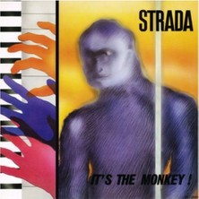 Gümrük Bey Strada It's The Monkey 12'' Maxi Single Plak Best Record BST-X084