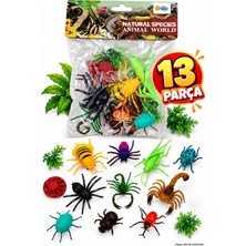 Craftivio Eğitici Böcek ve Hayvan Figürleri Seti 13 Parça (Örümcek, Arı, Akrep, Çekirge)