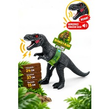 Craftivio T-Rex Dinozor Oyuncak 37 cm – Büyük Boy Gerçekçi Dinozor Figürü – 3+ Yaş