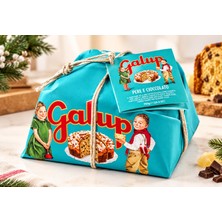 Galup Kuru Üzümlü Fınd. Kremalı Panettone Kek 750 G