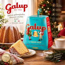 Galup Italyan Pandoro Panettone Kek 750G