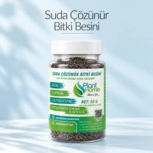 Plant Home Power Mix (50 Gr) Suda Çözünür Bitki Besini – Konsantre Salon ve Orkide Besini + Sprey Şişe Hediyeli