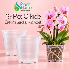 Plant Home Power Mix 19 Pot Orkide Üretim Saksısı - Köklü Tropikal Bitkiler Için Özel Üretim Saksısı