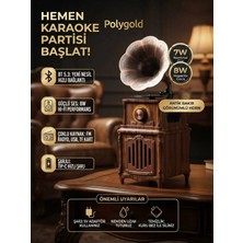 Novmark PG-AS31 Nostaljik Gramofon Tasarımlı Kablosuz Bluetooth Hoparlör