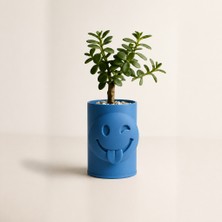 3D Baskı Emoji Planter - Göz Kırpan Yüzlü Sukulent Saksısı-Mavi