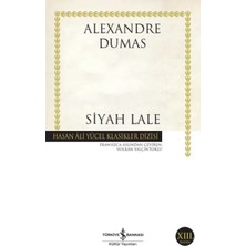 Siyah  - Hasan Ali Yücel Klasikleri