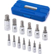 Vera Concept Store 13 Parça Altıgen Uç Soket Seti, S2 Çelik Uç Soket Alet Kiti, Metrik, 2 Mm-14 Mm, Allen Bit Soket Kiti