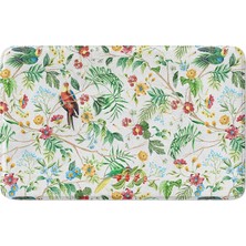 Vera Concept Store Banyo Paspası, Kaymaz Taban, Makinede Yıkanabilir, Çok Amaçlı Halı, Banyo Dekoru (40X60CM)