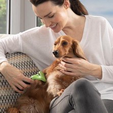 Vera Concept Store Kedi ve Köpekler Için Uzun Tüylü Köpek Tarağı Tüy Toplayıcı Tarak Small