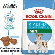 Vera Concept Store Mini Starter Mother Babydog Küçük Irk Yavru Köpek Maması 4 kg Tazemama EXPRES8275