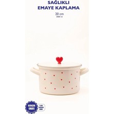 Vera Concept Store Kırmızı 20 cm Tencere