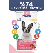 Vera Concept Store Kuzu Etli Süper Premium Yetişkin Köpek Maması 3kg | Hipoalerjenik – Düşük Tahıllı – Yüksek Proteinli