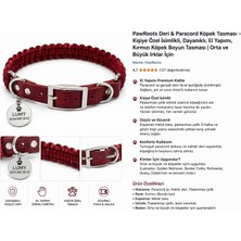 Vera Concept Store Pawroots Deri & Paracord Köpek Tasması – Kişiye Özel Paslanmaz Çelik Isimlikli, El Yapımı, Ayarlanabilir, Dayanıklı Bordo Köpek Boyun Tasması | Orta V