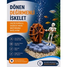 Vera Concept Store 3D Özel Tasarım Akvaryum Karides Yuvası – Gözenekli Akvaryum Dekoru, Pleco Vatoz Küpü, Betta Saklanma Alanı, Canlı Doğuran ve Karides Akvaryumu Için G