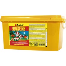 Vera Concept Store Goldfish Colour Pellet Size Small 5lt 2,25KG