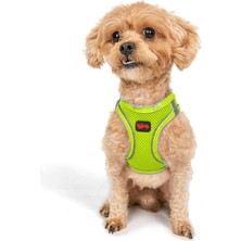 Vera Concept Store Air-Mesh Küçük ve Orta Irk Kedi Köpek Göğüs Tasması - Yumuşak, Nefes Alabilir, Dayanıklı (Neon-Sarı, 3xs)