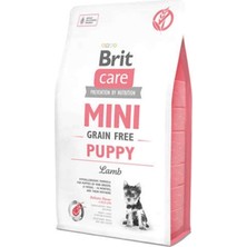 Vera Concept Store Care Hypoalerjenik Tahılsız Kuzu Etli Mini Irk Yavru Köpek Kuru Maması 2 KG(SKT.12.2023)