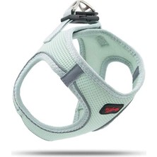 Vera Concept Store Air-Mesh Köpek Göğüs Tasması (Moon, 2xs)