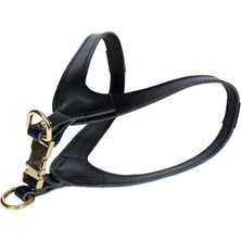 Vera Concept Store Dog Harness (Siyah, 52-64 Cm)