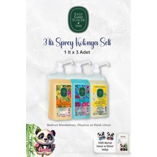 Vera Concept Store Eyüp Sabri Tuncer 1 Litrelik Sprey Kolonya Seti Bodrum Mandalinası, Okyanus, Limon ve Rosıe