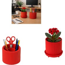 Vera Concept Store Özel 3D Baskı 2'li Set Ayrılabilir 4 Bölmeli Kalemlik & Ayaklı Küçük Saksı Raf Masa Vb. Saksısı (Kırmızı)