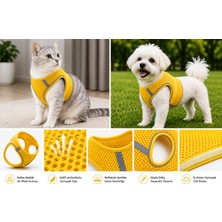Dolozena Nefes Alan Kumaş Air Mesh Kedi Köpek Göğüs Tasması x Small 32X36 cm Neon Sarı
