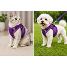 Dolozena Nefes Alan Kumaş Air Mesh Kedi Köpek Göğüs Tasması Medium 44X48 cm Mor