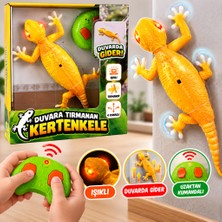 Belirtilmemiş 9998 Duvara Tırmanan Kertenkele Rc Oyuncak Kertenkele