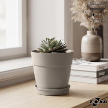Tabaklı Delikli Plastik Çiçek Saksısı, 13 cm 1.1 Lt, 1 Adet, Bej