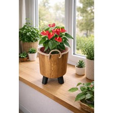 Inci Mobilya Ahşap Ahşap Saksı Yuvarlak Orta Boy Saksılık Natural 35X22X22