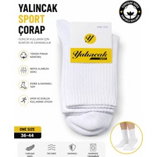 Fabbrica Spor Erkek Soket Çorap