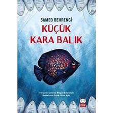 Küçük Kara Balık