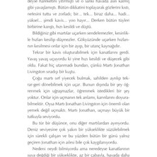 Martı Jonathan Livingston