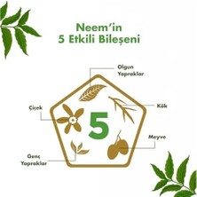 Himalaya Sivilce Karşıtı Arındırıcı Cilt Serumu 30 ml | Salisilik Asit, Cıca, Neem Özü | Yağlı Ciltler