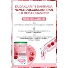 Dudak Nemlendirici Bakım Maskesi