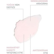 The Purest Solutions Hassas ve Kuru Ciltler Için Nem ve Antioksidan Içerikli Temizleyici Balm 85 gr