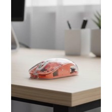 Lexroo Minimal Tasarımlı Kablosuz Mouse Günlük ve Ofis Kullanımı