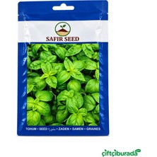 Safir Seed Yeşil Fesleğen Tohumu 3 G