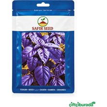 Safir Seed Turan Mor Reyhan Tohumu 10 G