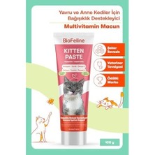 Prime Biofeline Yavru Kedi Macun 100G ve Yavru ve Anne Kediler Için Bağışıklık Sistemi Destekleyici Macun