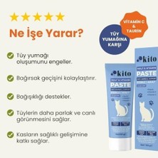 Prime Kısır Veya Yetişkin Kediler Için Tüy Yumağı Önleyici ve Bağışıklık Sistemi Destekleyici Malt Macunu-Paste 100G