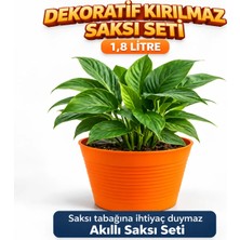2'li Saksı Seti | 15 Pot Üretim Saksısı + 1.8 L Turuncu Kırılmaz Dekoratif Dış Saksı