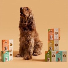 Kito Fresh Dana Etli Köpek YEMEĞI%100 Taze Içerikli Mama 250 gr