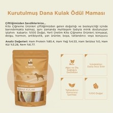 Kito Kurutulmuş Dana Kulak Çiğnemelik Köpek Ödül MAMASI%100 Doğal, Glutensiz, Organik 100 gr (Dog Treat)